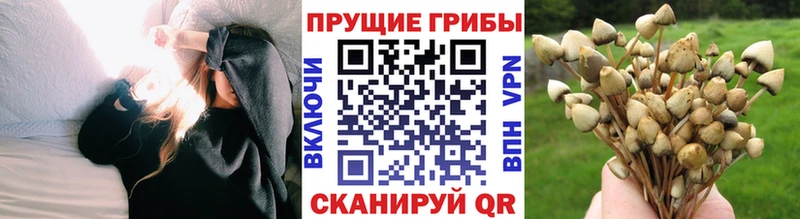 Псилоцибиновые грибы мицелий  Волгореченск 